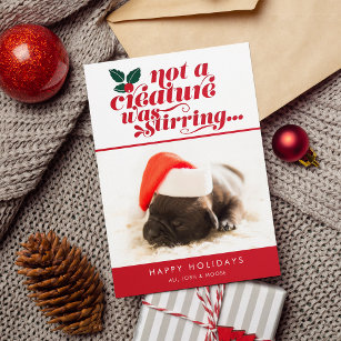 Not a Creature Was Stirring   Pet Christmas Photo Holiday Card