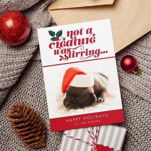 Not a Creature Was Stirring  Pet Christmas Photo Holiday Card