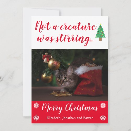 Not A Creature Was Stirring Pet Photo Holiday Card