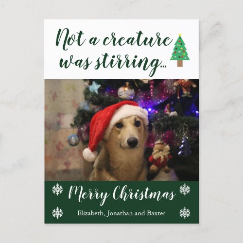 Not A Creature Was Stirring Pet Photo Holiday Postcard