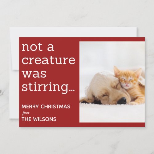 not a creature was stirring red photo christmas holiday card