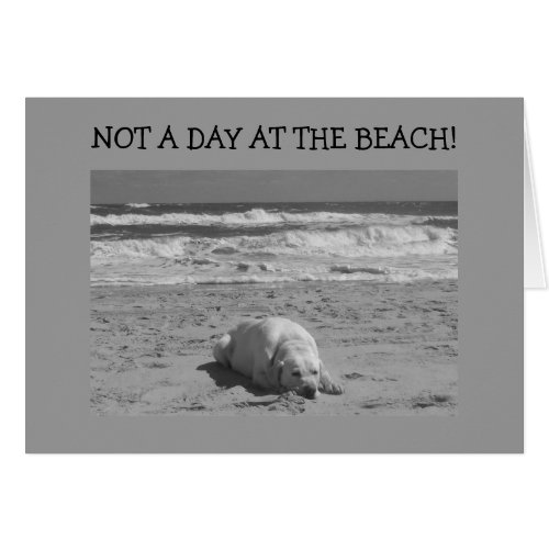 NOT A DAY AT THE BEACH