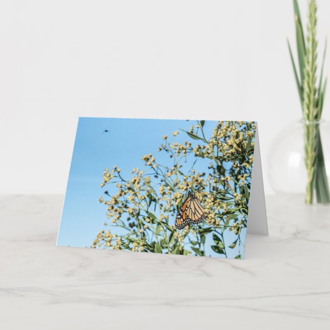 Not a Doctor Card (Front)