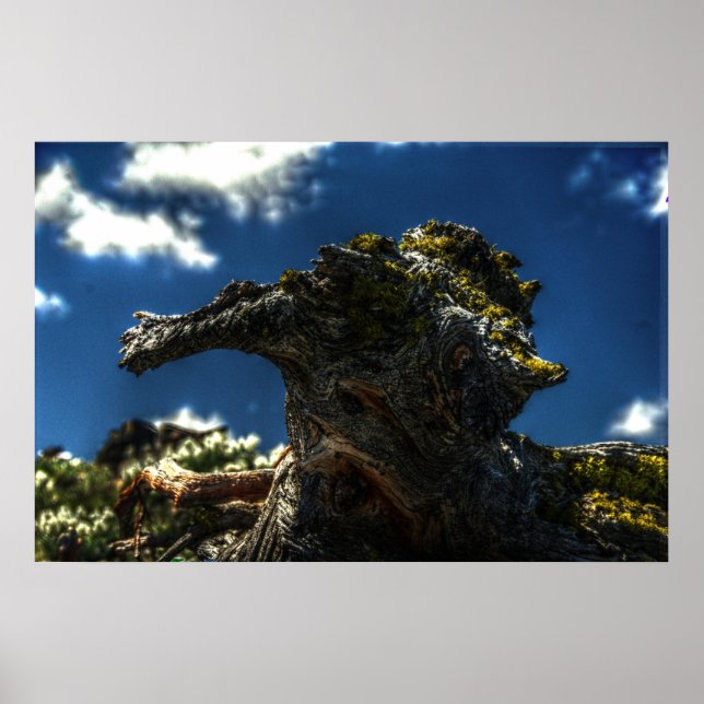 Not a Goat Poster (Front)