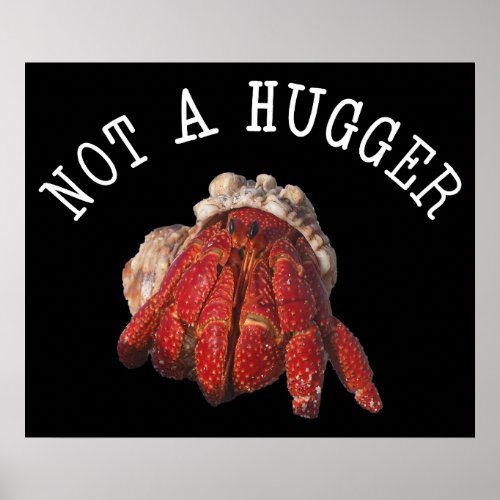 Not A Hugger Funny Hermit Crab Poster