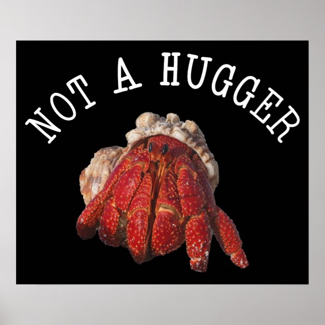 Not A Hugger Funny Hermit Crab Poster (Front)