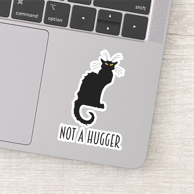 Not A Hugger Funny Introvert Antisocial Cat Sticker (Detail)