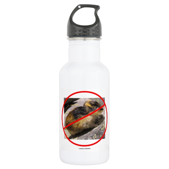 Not A Lemming (Psyche Humor Independent Thinker) Stainless Steel Water Bottle
