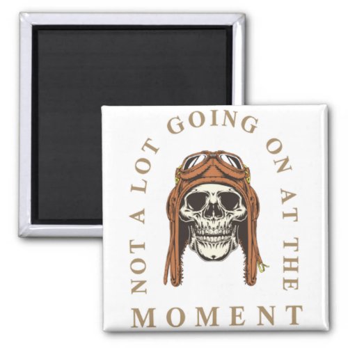Not a Lot Going On at The Moment  pilots_skull Magnet