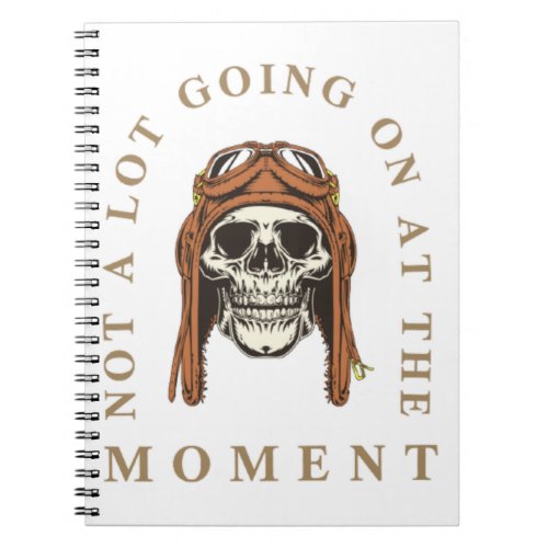 Not a Lot Going On at The Moment  pilots_skull Notebook