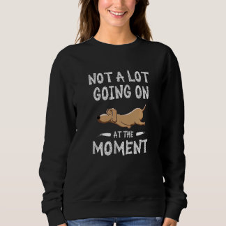 Not a Lot Going On At The Moment Sleeping Dog Sweatshirt
