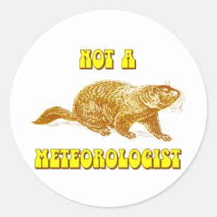 Not a Meteorologist Groundhog Classic Round Sticker