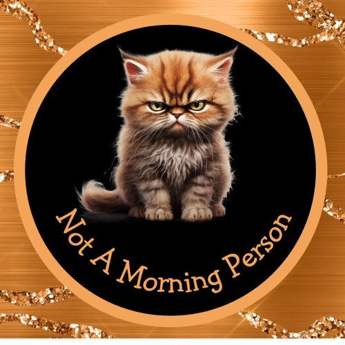 Not A Morning Person Or Your Text Angry Ginger Cat Mug