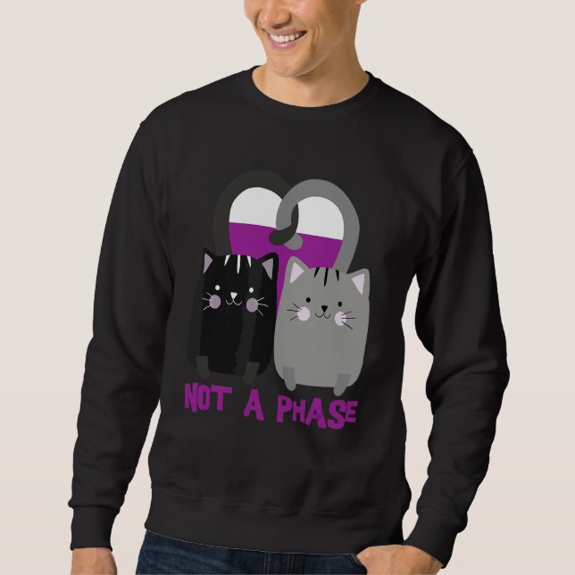 Not A Phase Cats Asexuality Ace Pride Lgbtq Sweatshirt (Front)