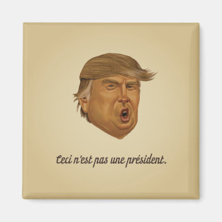 Not a President Magnet