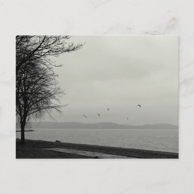 Not a sunshiny day at the lake postcard (Front)