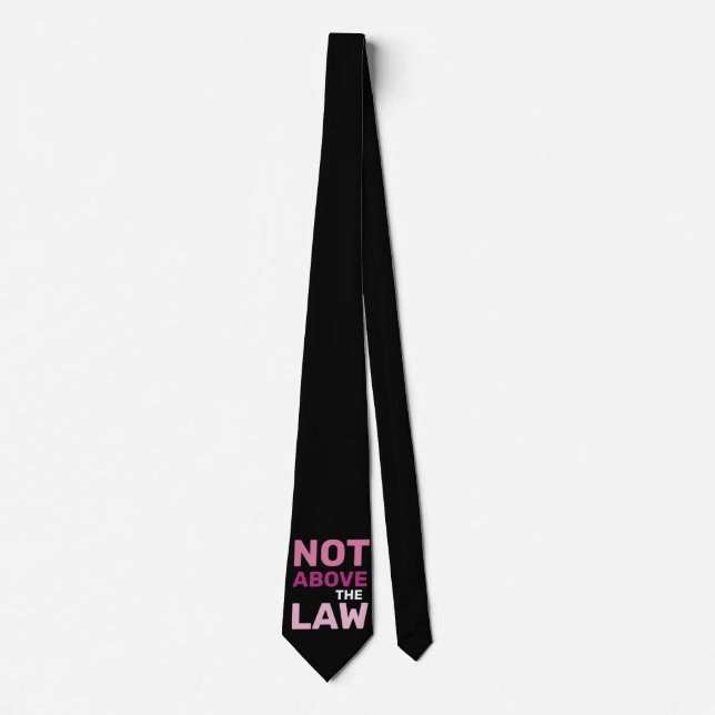 Not Above the Law Feminist Political Protest Neck Tie (Front)