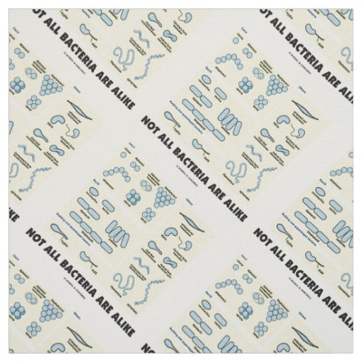 Not All Bacteria Are Alike Bacterial Morphology Fabric