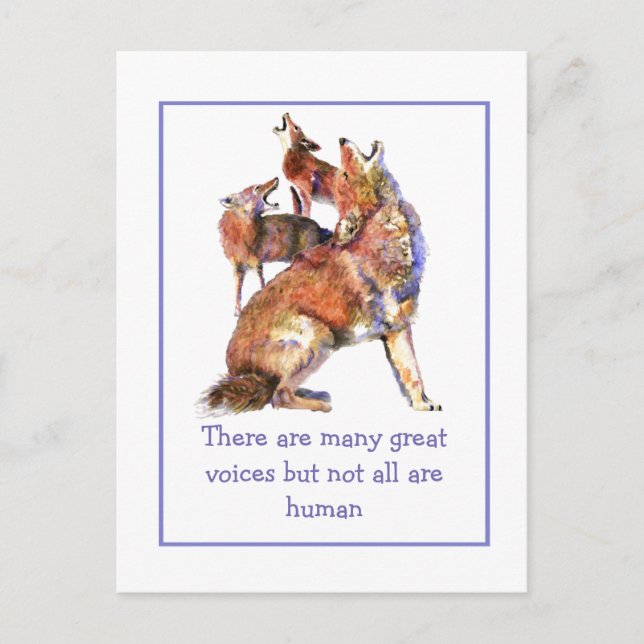 Not all Voices Human Inspirational Coyotes Quote Postcard (Front)