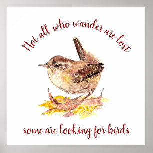 Not all Who Wander Lost - Some looking for Birds Poster