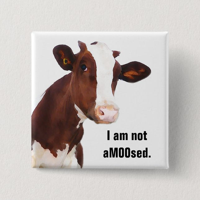 Not Amused - Funny aMOOsed Cow Joke Pinback Button (Front)