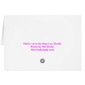 Not Asking For Sign Cards (Back Horizontal)