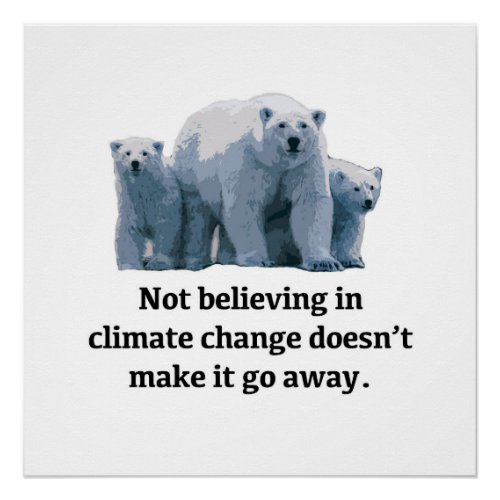 Not believing in climate change doesnt make it go poster