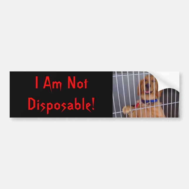 Not Disposable Bumper Sticker (Front)