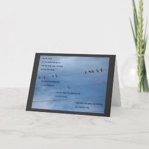 not dwell card birds