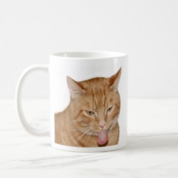 Not Enough Catnip Coffee Mug by deemac1 at Zazzle