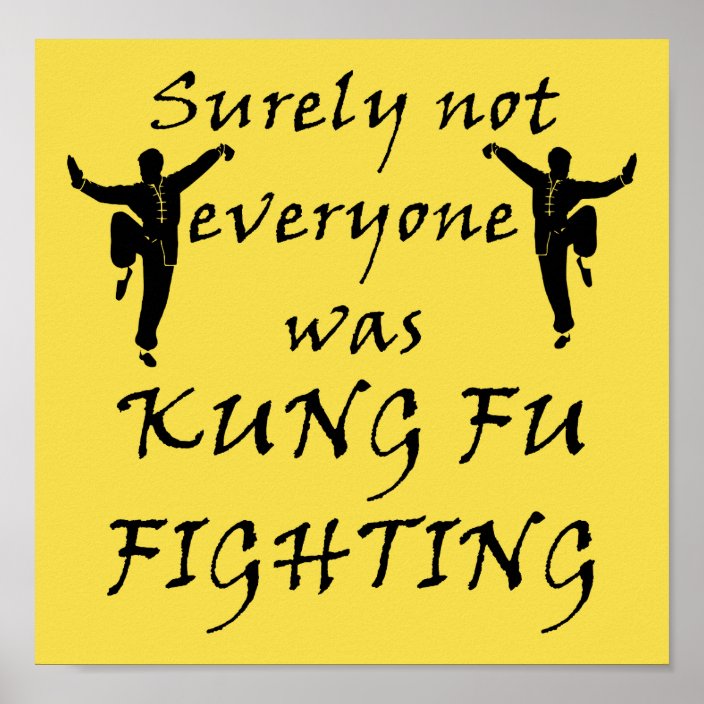 Not Everyone Was Kung Fu Fighting Poster