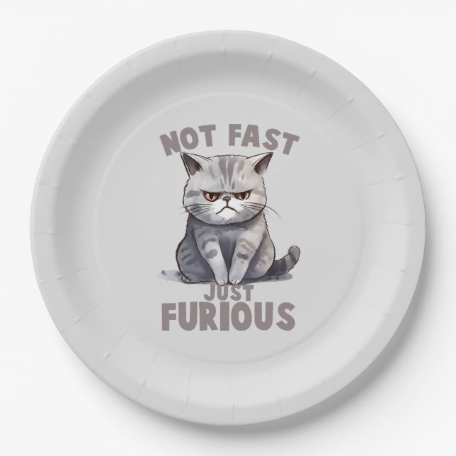 Not Fast, Just Furious – Gray Cat Humor Paper Plates (Front)