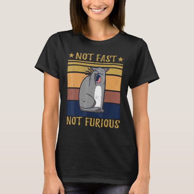 Not Fast Not Furious Cat T-Shirt (Front)