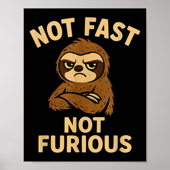 Not Fast Not Furious, Funny Sltoh  Poster (Front)