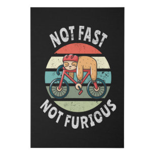 Not Fast Not Furious lazy sloth sleeping bicycle Faux Canvas Print
