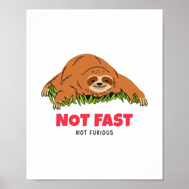 Not Fast Not Furious  Poster (Front)
