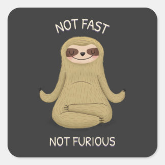 Not Fast Not Furious Square Sticker