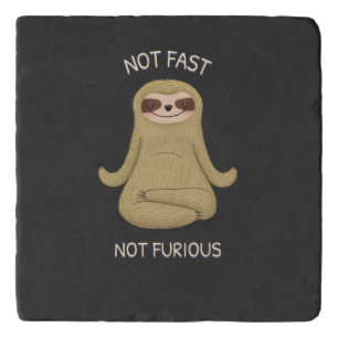 Not Fast Not Furious Trivet