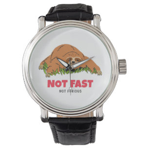 Not Fast Not Furious Watch