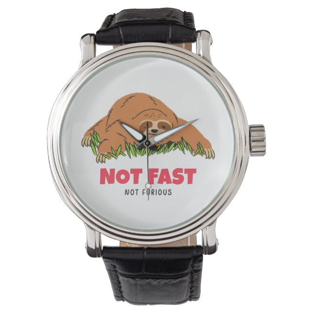Not Fast Not Furious    Watch (Front)