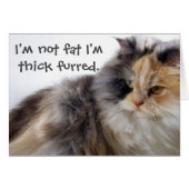 Not Fat! Thick Furred (Front Horizontal)