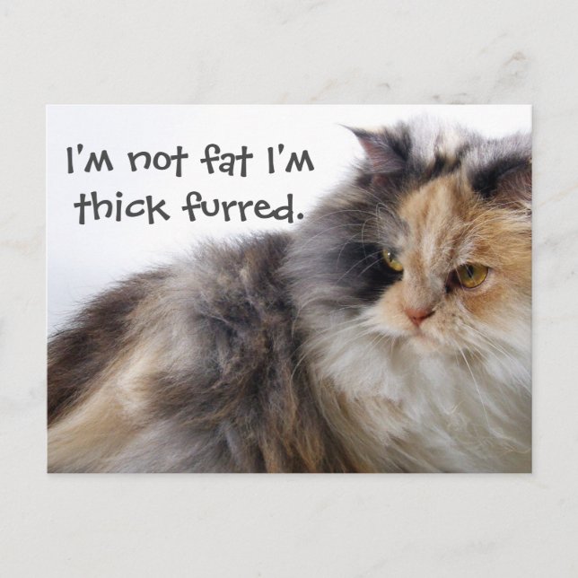 Not Fat! Thick Furred Postcard (Front)
