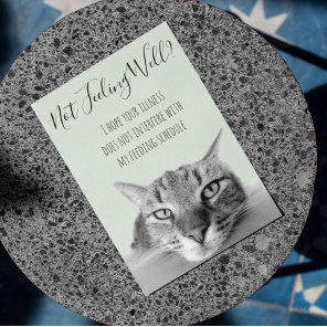 Not Feeling Well Get Well Soon From Cat Humor Card