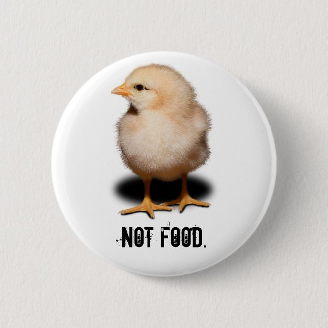 Not Food. Button (Front)