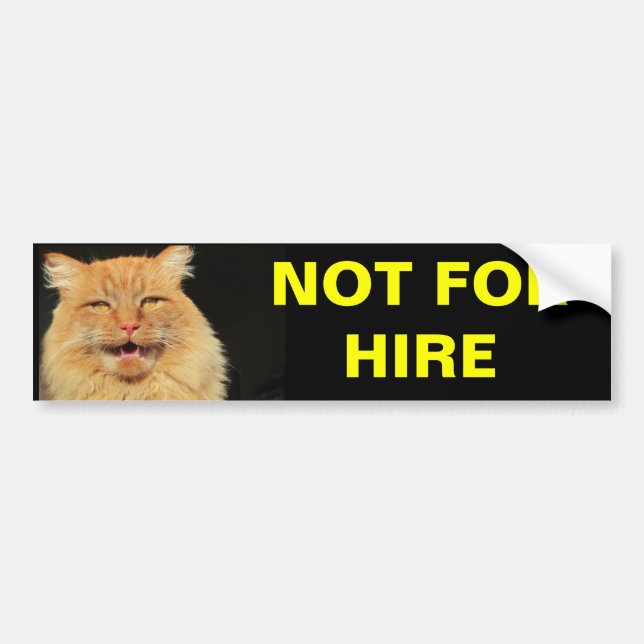 Not For Hire (Pumpkin) Bumper Sticker (Front)