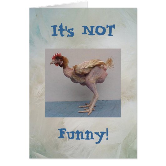 Not Funny Chicken Card (Front)