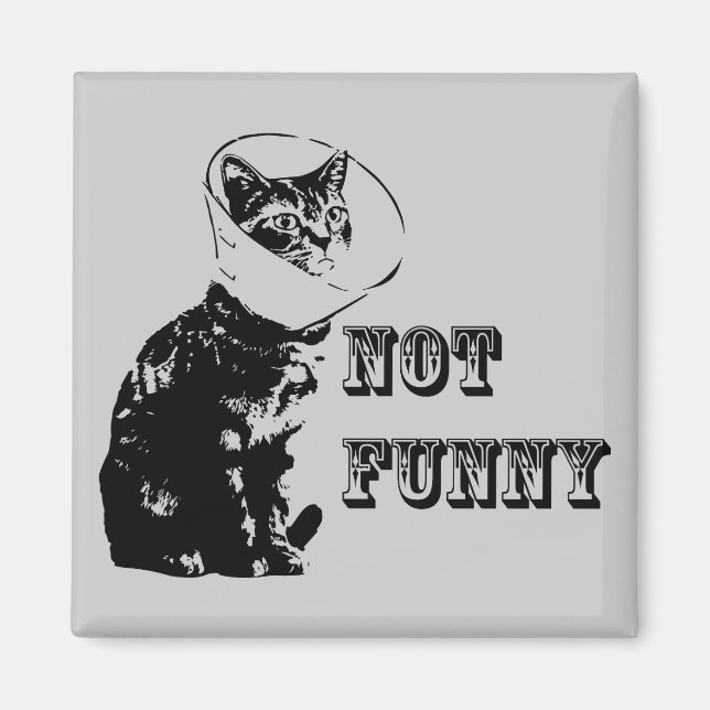 Not Funny Magnet (Front)