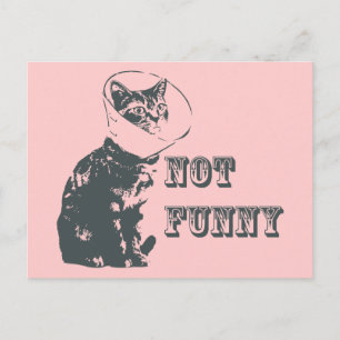 Not Funny Postcard