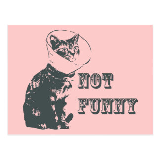 Not Funny Postcard