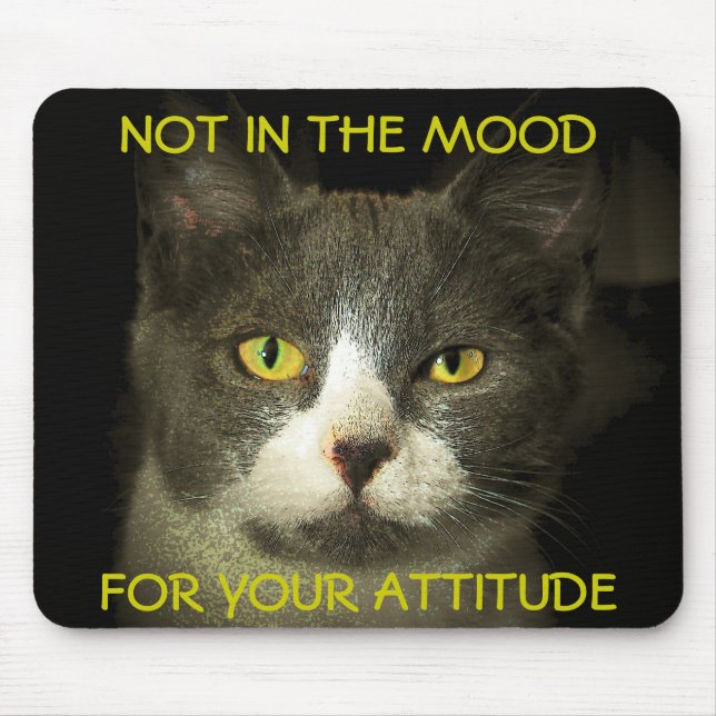 Not in the Mood For Your Attitude Meme Mouse Pad (Front)